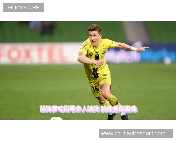 2019年西悉尼足球队对阵惠灵顿凤凰队精彩赛事回顾与分析